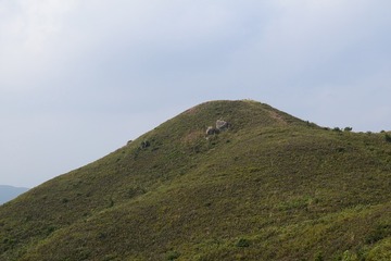 DSC_0012 牛耳石山 Ngau Yee Shek Shan