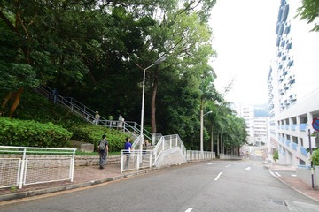 DSC_0016 中文大學上大埔公路