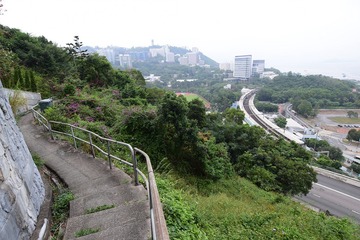 DSC_0021 麗坪路附近山徑回望中文大學校園