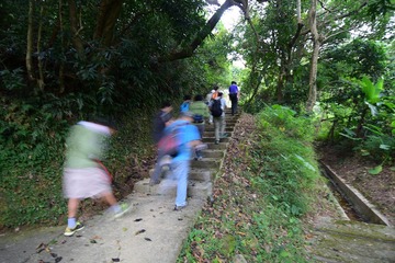 DSC_0041  九肚村上走馬樂徑