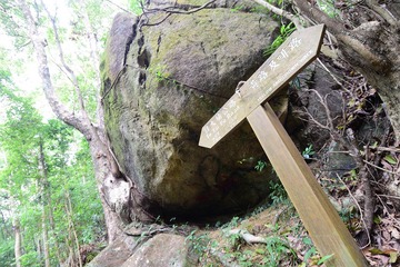 DSC_0087 松仔園啡黃路