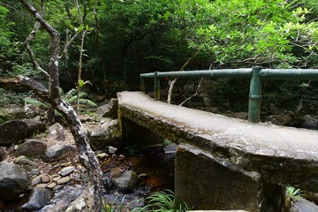 DSC_0107 過橋