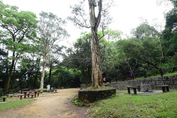 DSC_0032 經過燒烤場