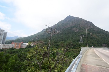 DSC_0162 新清水灣道回望飛鵝山