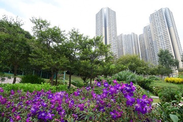 DSC_0164 佐敦谷公園 Jordan Valley Park