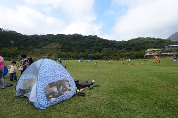 DSC_0166 中央草坪
