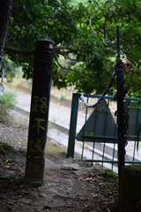DSC_0001 沿基利路上接大水坑