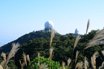 DSC_0032 已經可以睇到柏架雙珠