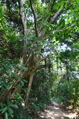 DSC_0123 踏荒徑接野豬坑下源上大潭東引水道