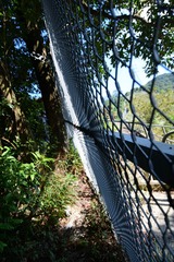 DSC_0020 穿越安達臣石礦場邊陲山徑而上