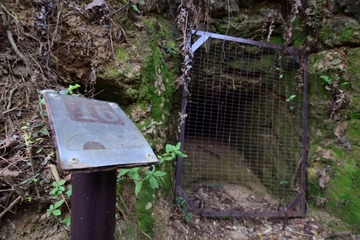 DSC_0047 上了鐵絲網的荒廢地洞