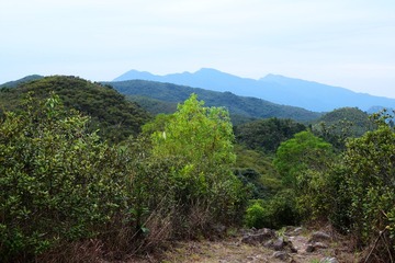 DSC_0087 回望從橫嶺坳走來大峒的山徑