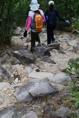 DSC_0089 落山路不算崎嶇