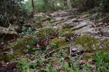 DSC_0101 幽徑過下苗田