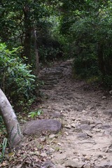 DSC_0006 扶輪公園自然教育徑過荃錦坳