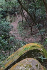 DSC_0043 踏荒徑落蓮北林徑