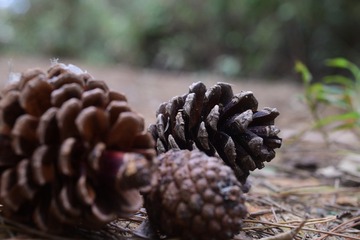 DSC_0057 行人專用徑落河背水塘