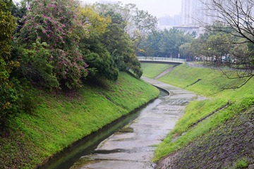 DSC_0001 途經粉嶺安樂村東面麻笏河的過龍躍頭 Ma Wat River