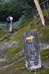 DSC_0062 接流水響郊遊徑上走山火瞭望台