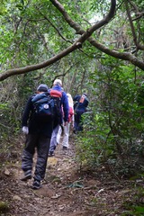 DSC_0009 晨運徑上走吊手岩北脊