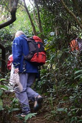 DSC_0010 山勢開始由緩轉急