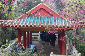DSC_0095 回望胡挺生先生紀念亭 T.S. Woo Pavilion