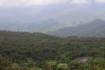 DSC_0011 回望蝴蝶過江