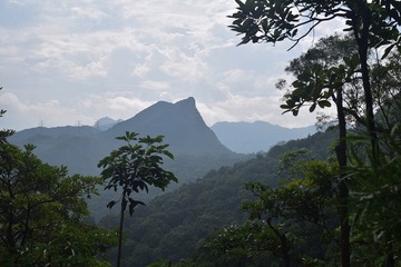 DSC_0033 另一角度的獅子山