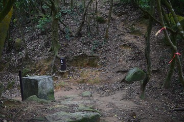 DSC_0065 接走麥理浩徑第五段