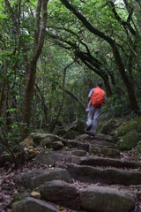 DSC_0066 麥理浩徑第五段 MacLehose Trail Stage 5