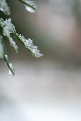 181279