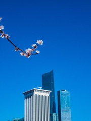 017