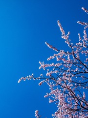059