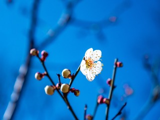 052