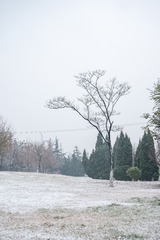 183102