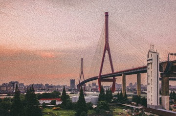 杨浦大桥