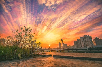江湾体育场的蛋饼