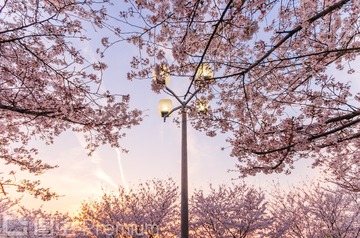 IMGP0722-2