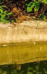 _IMG8927-1032