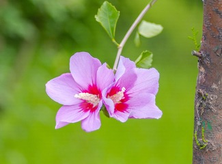 _IMG7792-1621