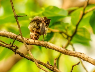_IMG5676-10192-1623