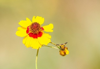_IMG1954-1623