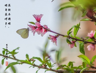 IMGP5457-2016-0408_