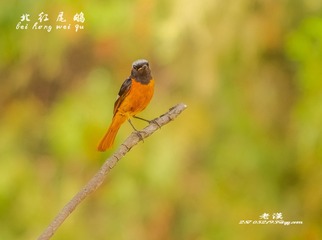 _IMG5064-1002_