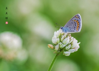 IMGP6986_