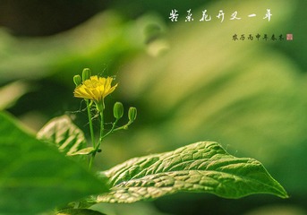 IMGP7293-02_