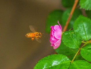 IMGP6493_