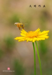 IMGP7724-2-1_