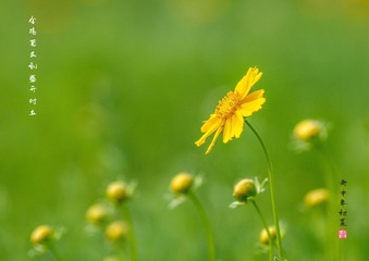 IMGP7705_