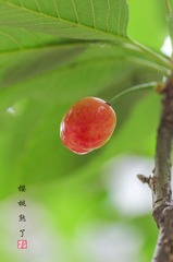 IMGP7997_